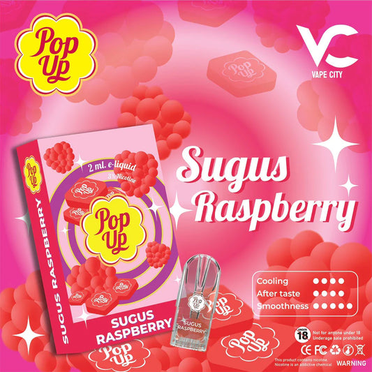 PopUp -  Raspberry